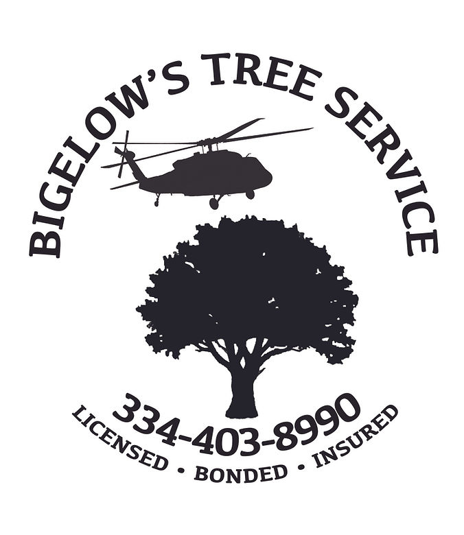 Bigelow's Tree Service and Stump Grinding logo