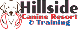 Hillside Canine Resort and Training logo