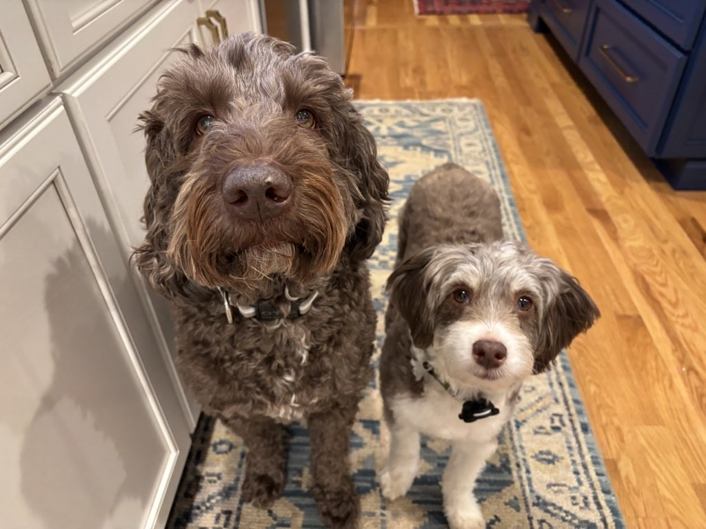 Critter Sitters of Lexington, Inc.