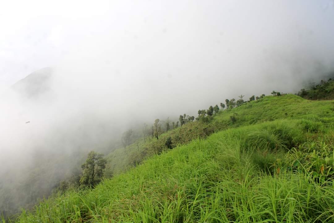 THE HIKE TOURS AND TRAVELS - TRAVEL AGENCY , CAR RENTAL SERVICE, TAXI/CAB SERVICE, TOUR OPERATOR IN TEZPUR AND GUWAHATI