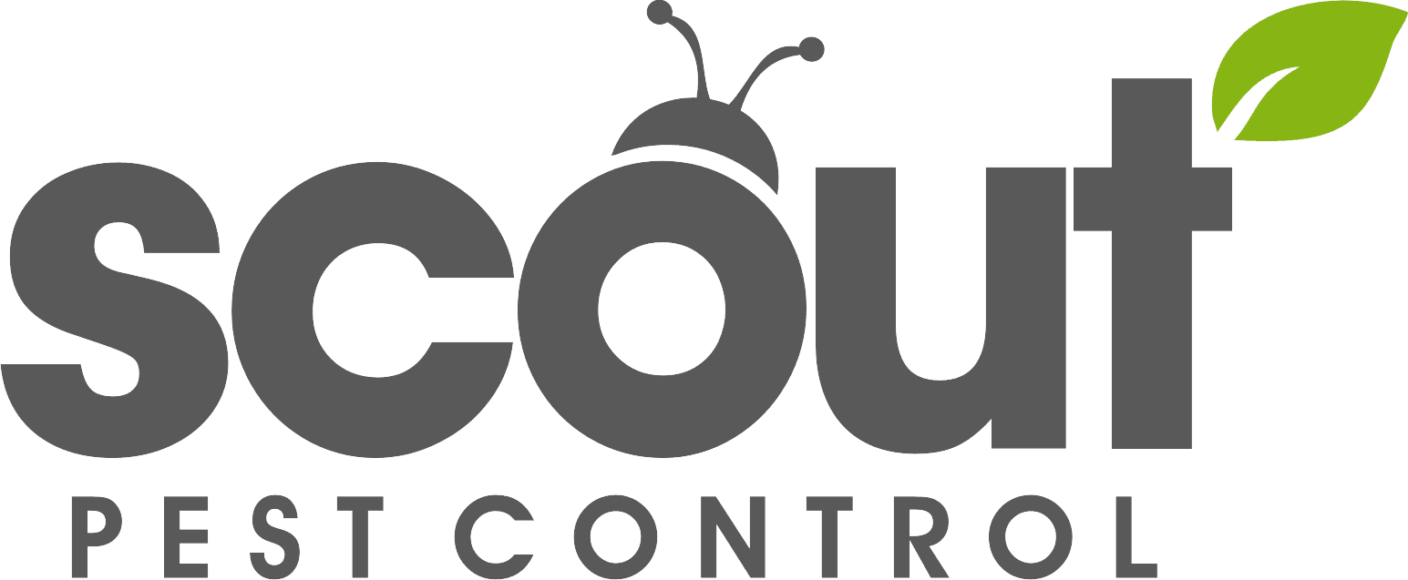 Scout Pest Control logo