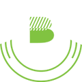 Beson4 logo