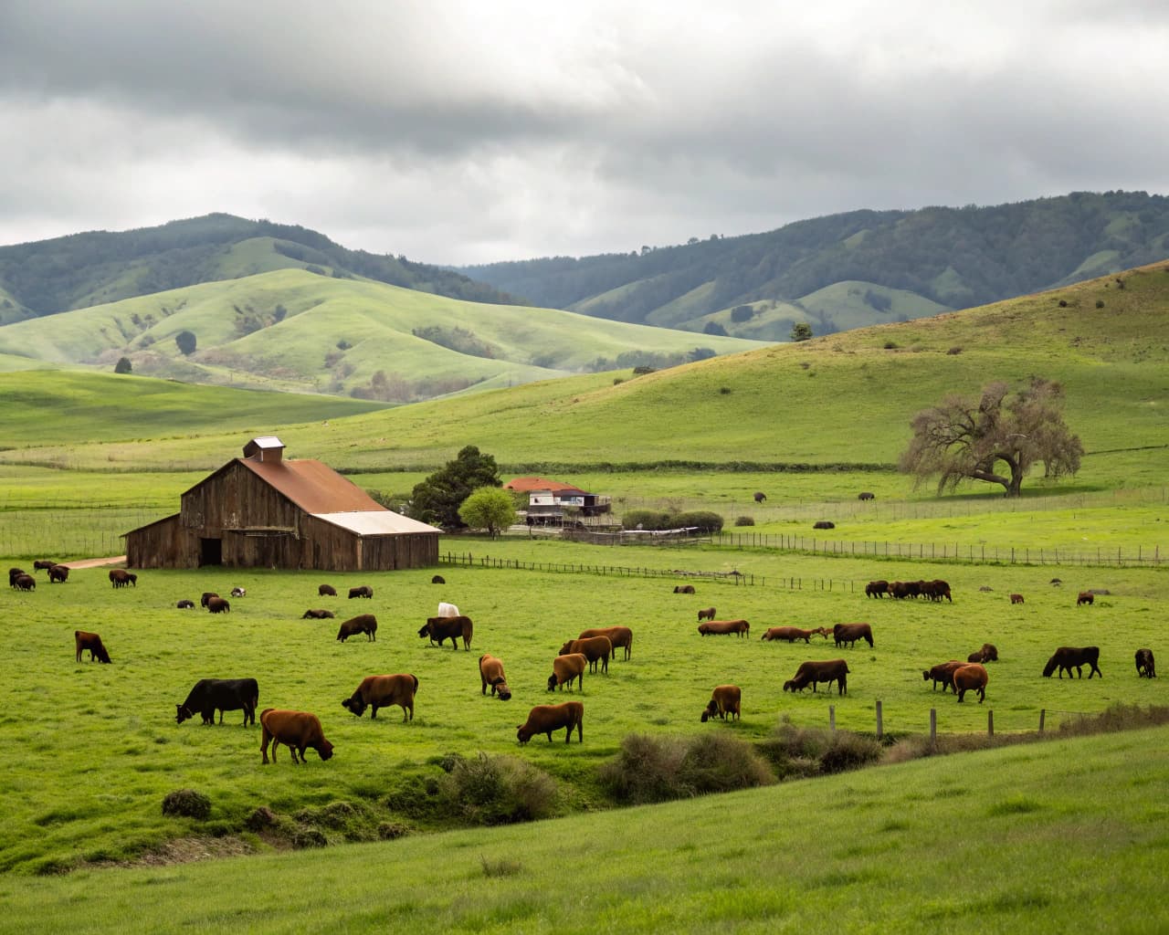Livestock & Ranching