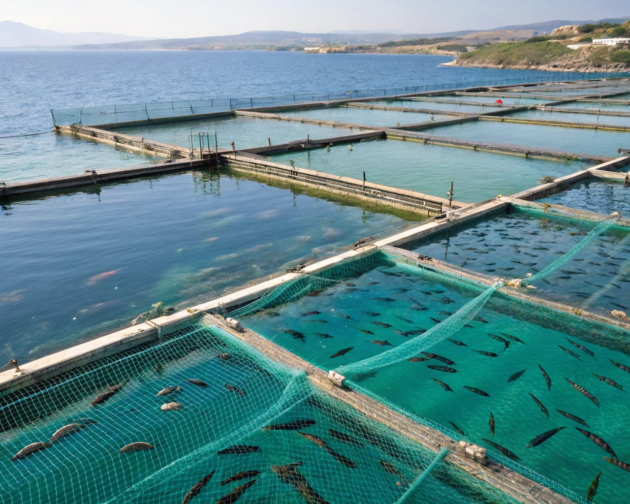 Aquaculture & Seafood Farming