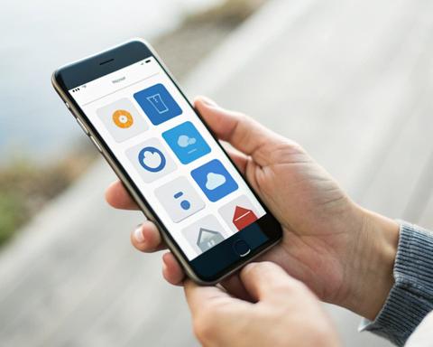 Web & App Development